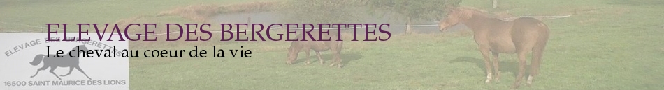 ELEVAGE DES BERGERETTES